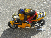 Custom Painted RC Bike