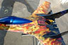 True fire airbrushed RC Jet