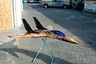 True fire airbrushed RC Jet